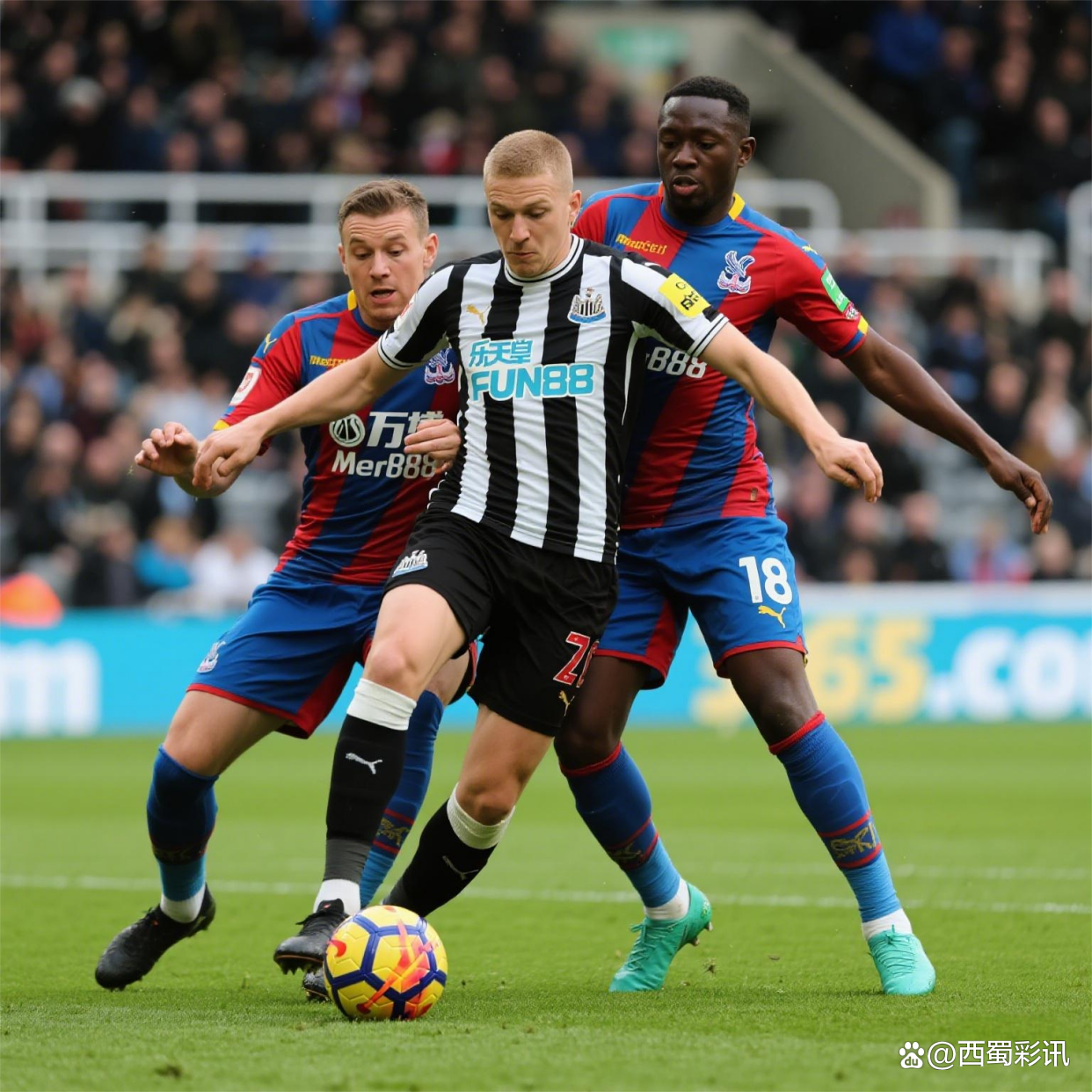 包含冲刺阶段NBA季后赛焦点战，纽卡斯尔防线松动，更衣室稳定，控场能力受关注的词条